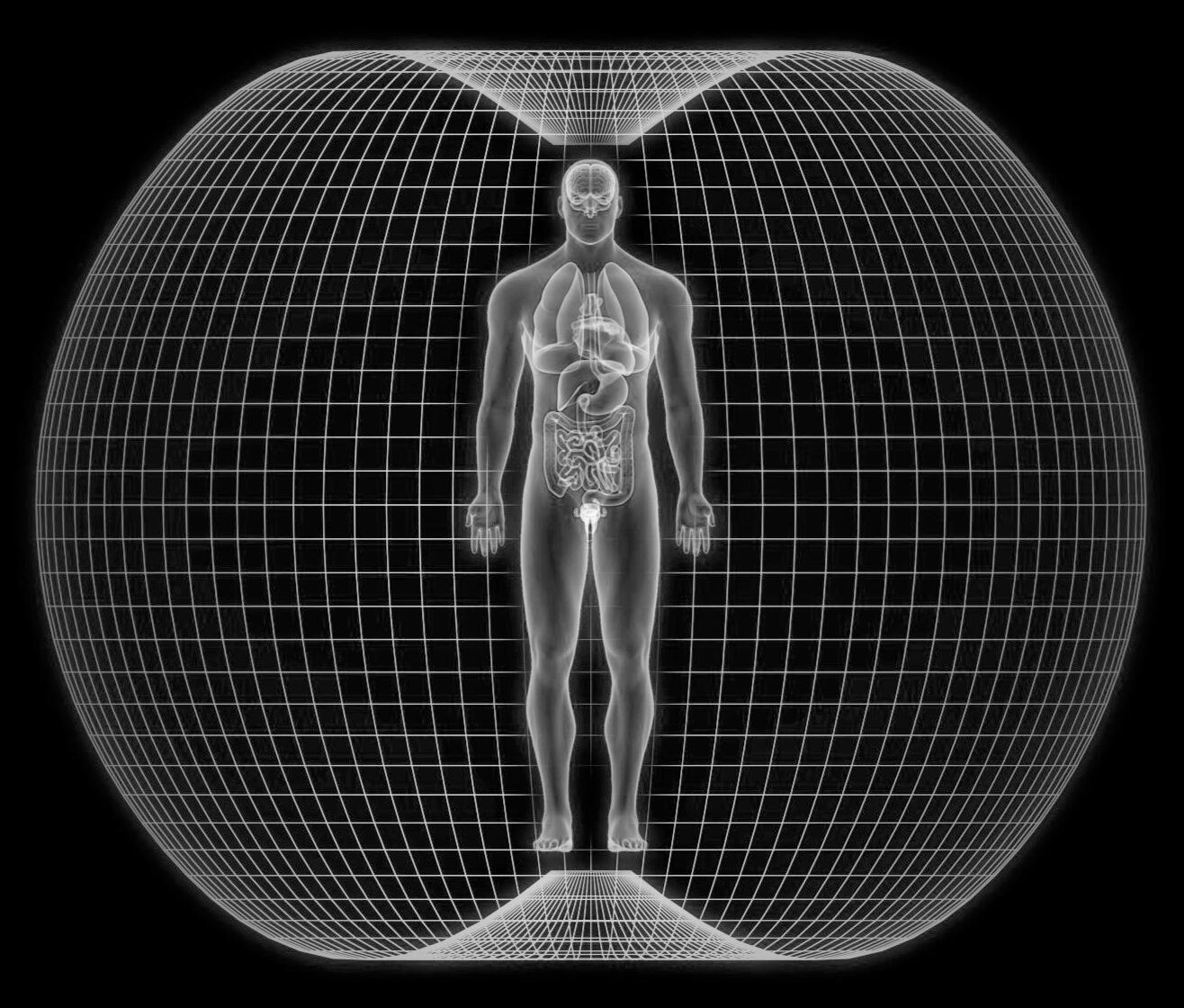 human biomagnetic field